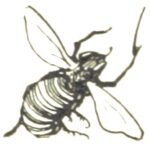 line drawing of a single bee