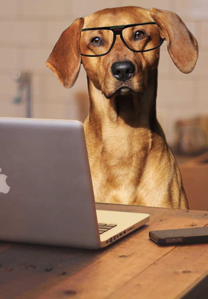 a light brown dog wearing glasses sits at a desk behind a silver laptop