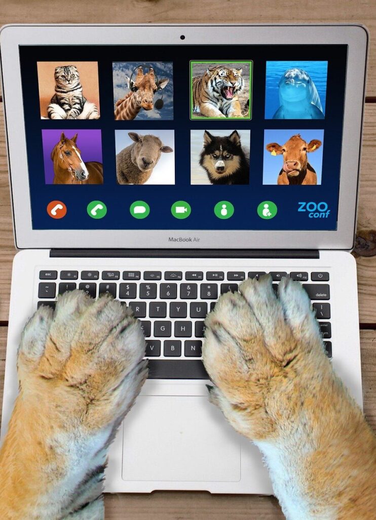 two paws rest on the keyboard of a tiny laptop. on the screen is a video conference interface with avatars of eight animals who are participating