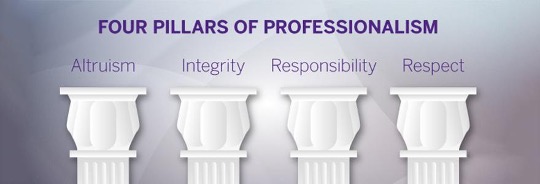 the four pillars of professionalism: altruism, integrity, responsibility, respect