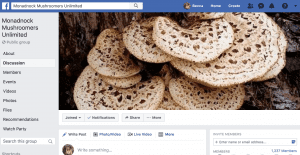 Facebook post of a bloom of fungus.