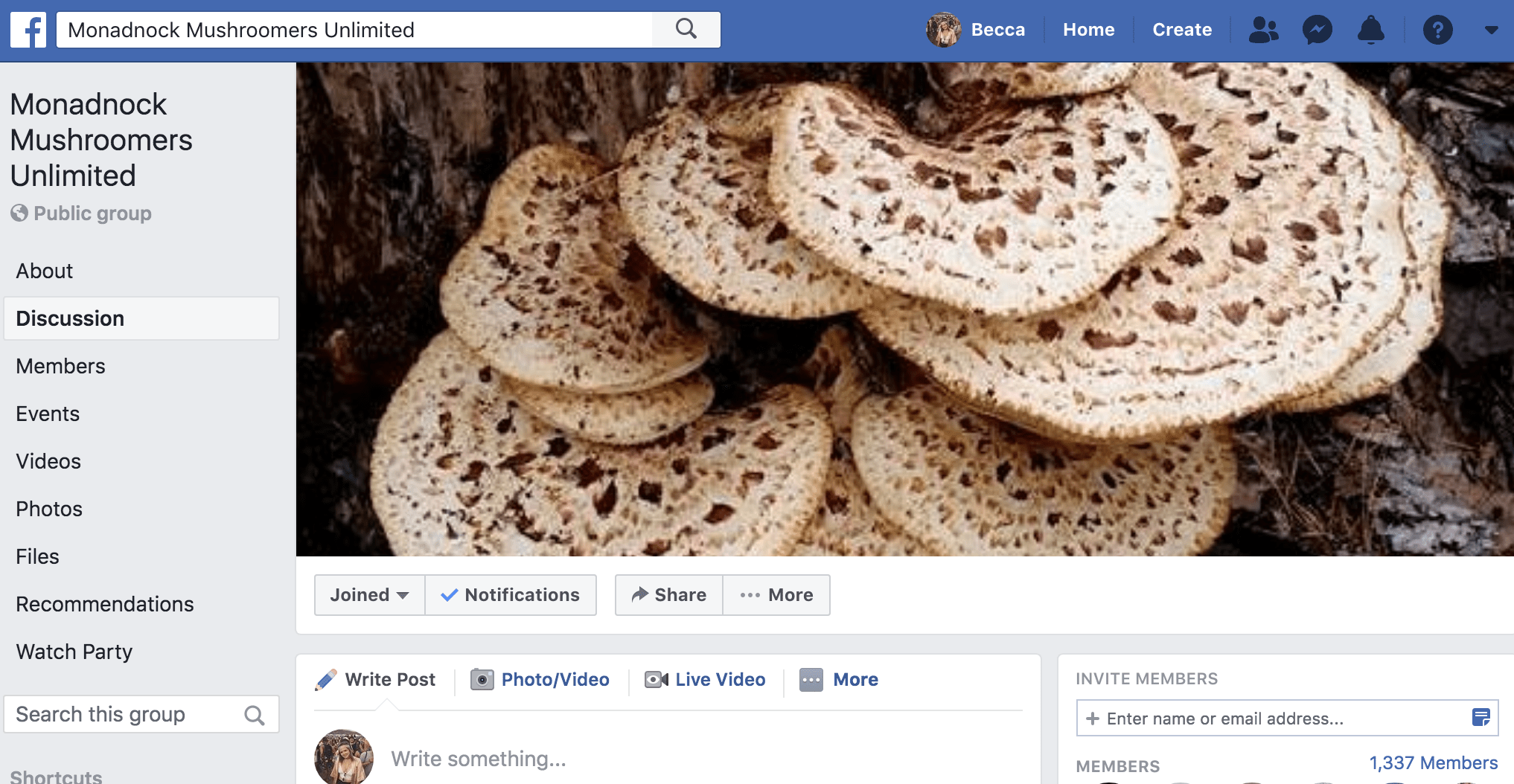 Facebook post of a bloom of fungus.