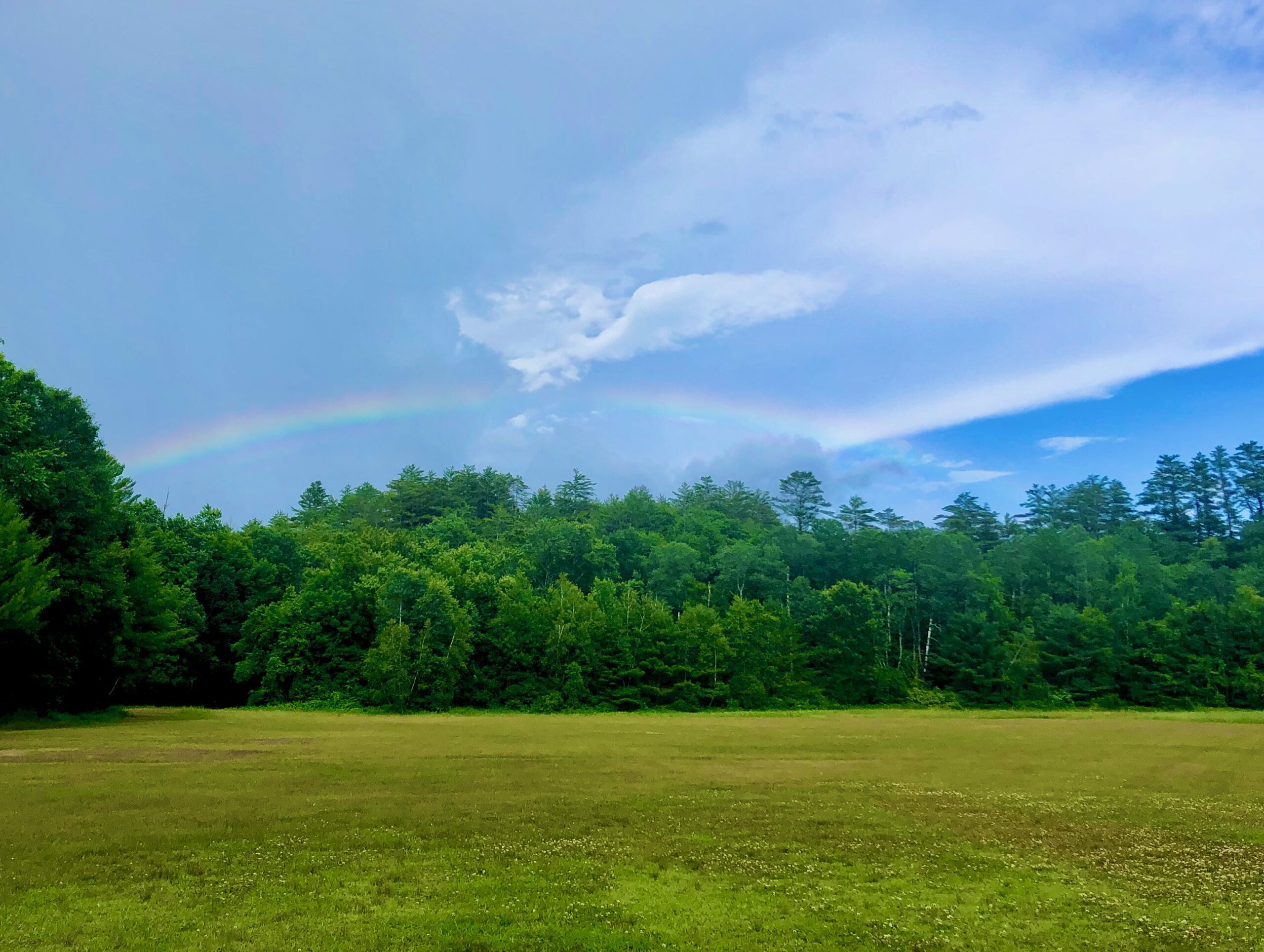Rainbow above trees