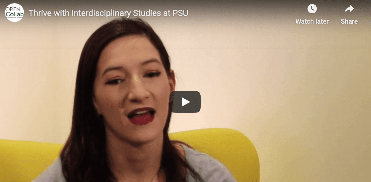 screen shot of IDS video