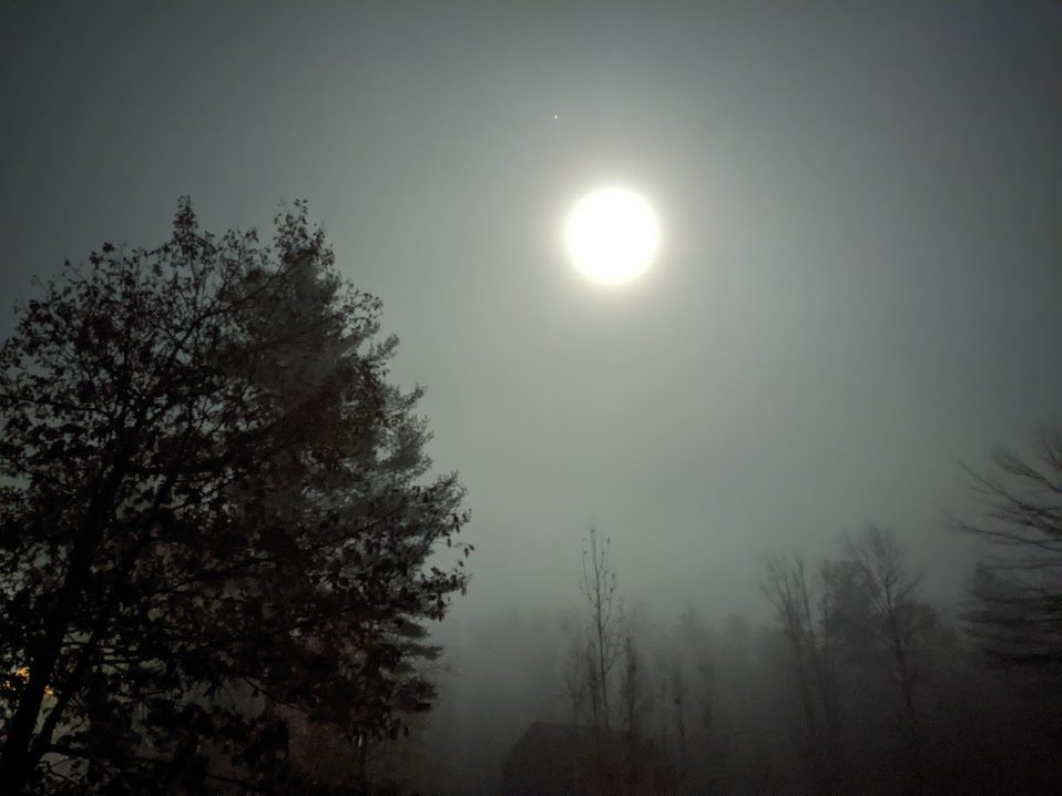 The moon through dark cloudy sky in forest