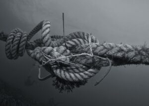 black and white image of a knot or ropes and string