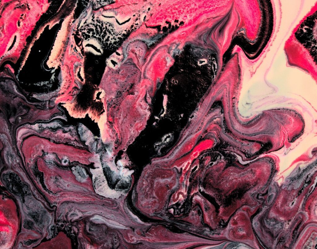 pink and black rose flower